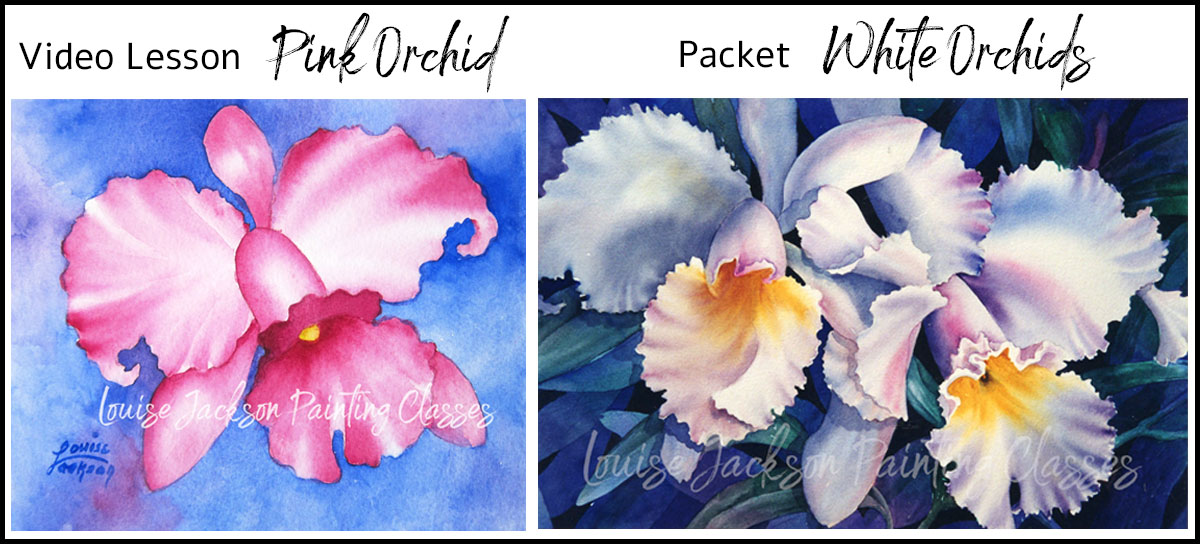 Video Lesson Pink Orchid Image and Packet Image White Orchids Image