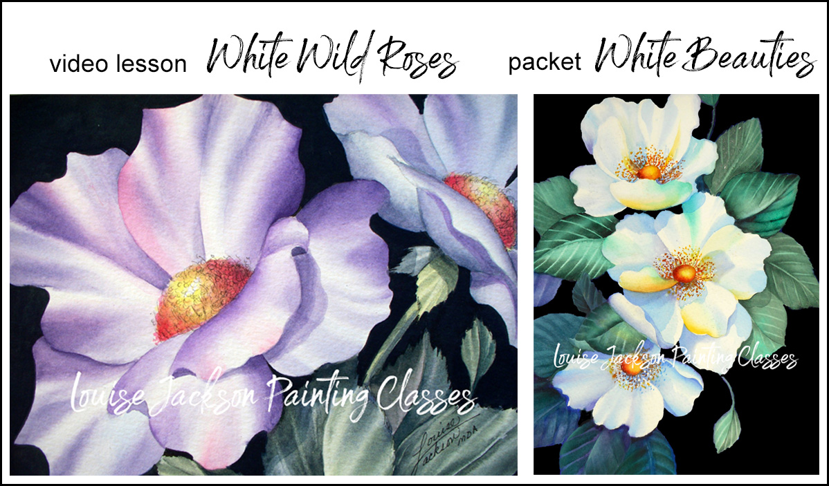 Video lesson White Wild Roses and Epacket White Beauties