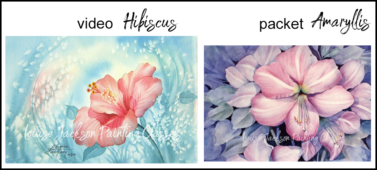 Watercolor painting class video of a Hibiscus and e-packet of an Amaryllis