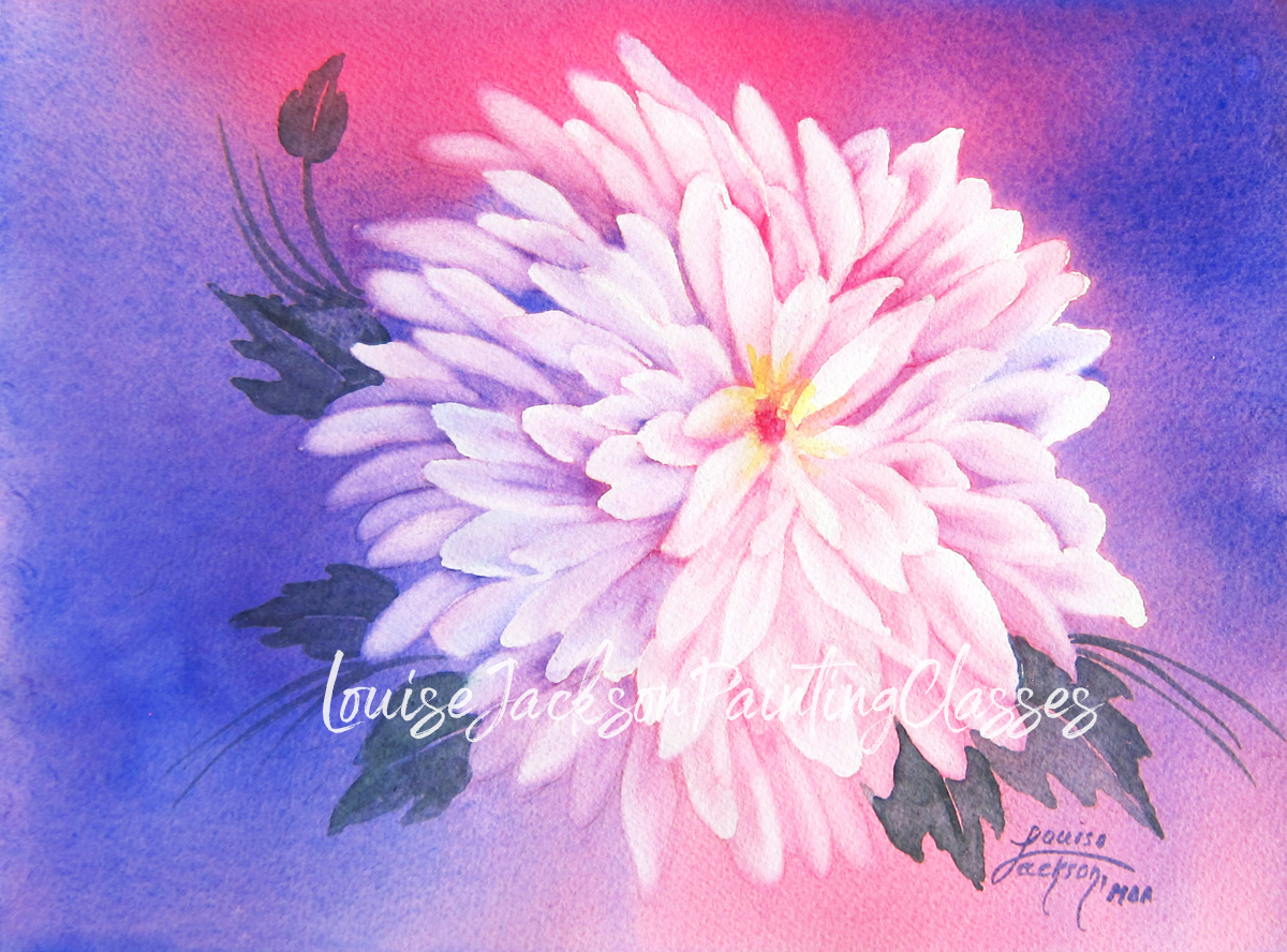 chrysanthemum watercolor painting with pink and blue background by Louise Jackson