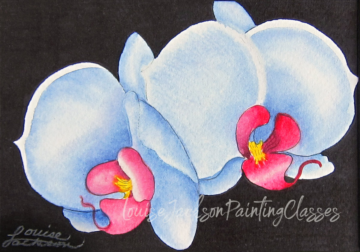 white orchids watercolor painting of phalaenopsis orchids also known as moth orchids